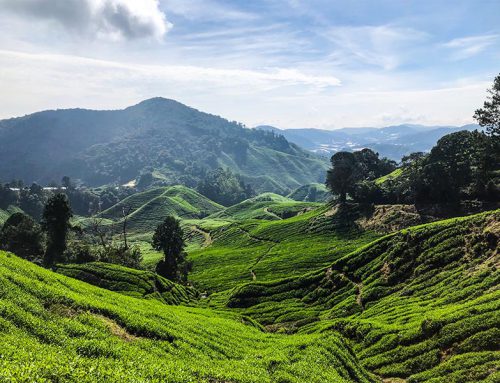 Gateway to Nature-tour in de Cameron Highlands
