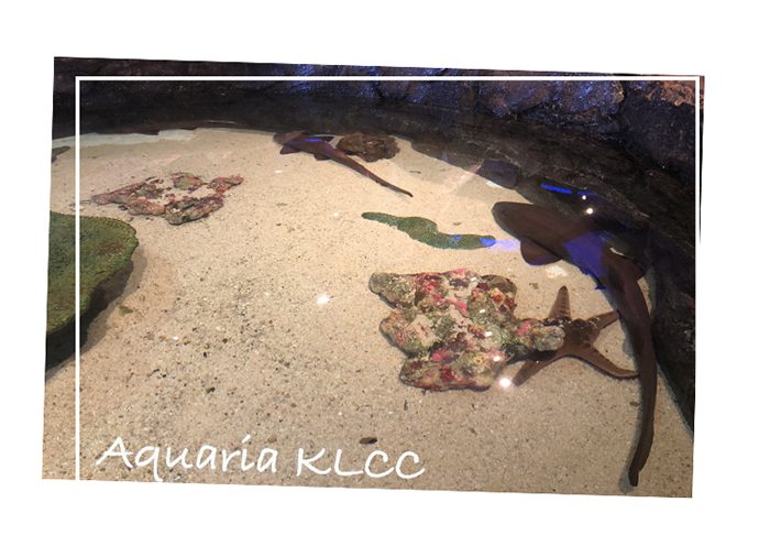 Aquaria KLCC, Kuala Lumpur