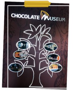 Museum Chocolate