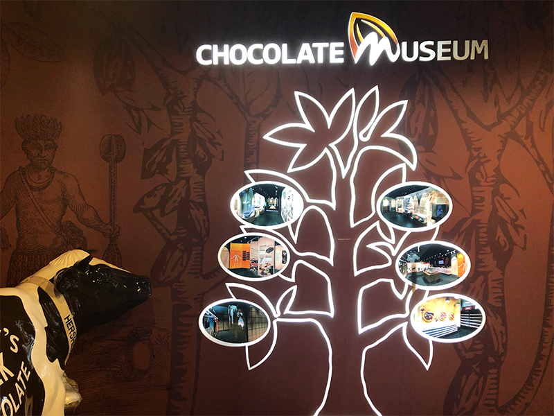 Museum Chocolate
