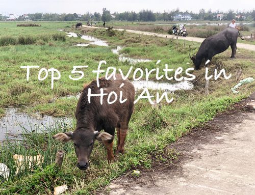 From cycling and the beach to shopping and food: our favorites in Hoi An