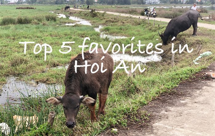 Top 5 favorites in Hoi An