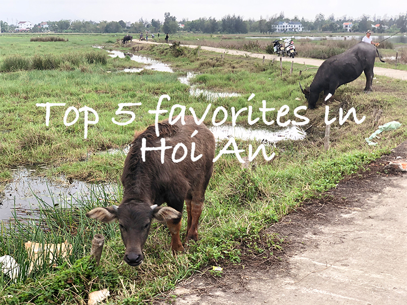 Top 5 favorites in Hoi An