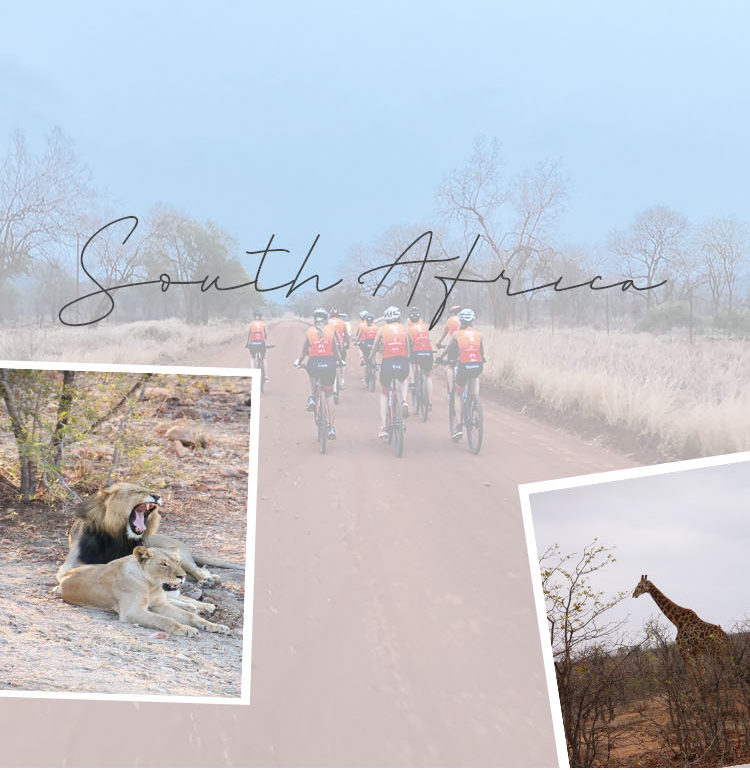 South Africa Krugerpark