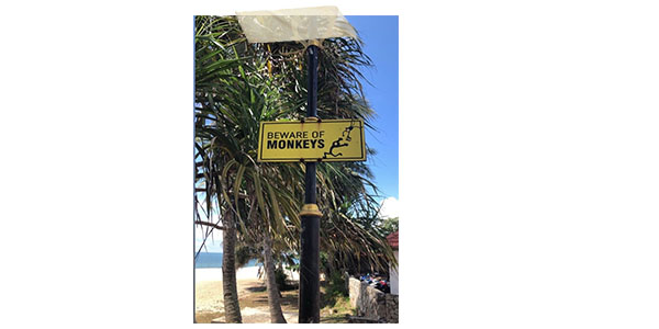 Sign beware of Monkeys